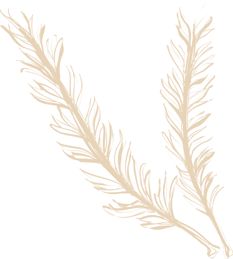 noun rosemary 1979810 2